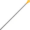 A048819 - Alexbow lot de 20 flechettes carbone