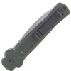 ACE-GS - AKC X-treme Ace Od/ Satin