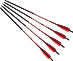 AJ792 - BARNETT Headhunter™ 20'' – Pack de 5 traits en carbone