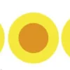 A50472 - Truglo Set de 5 fibres optique fluo bicolore 2,5mm