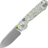 A2933 - Vosteed Raccoon 2.0 14C28N Doodle G10