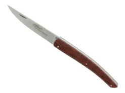 BEL 5875 LE THIERS GOYON-CHAZEAU AMOURETTE