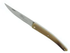BEL 5874 LE THIERS GOYON-CHAZEAU POINTE DE CORNE