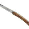 BEL3833 LE THIERS LE FIDELE HETRE STABILISE