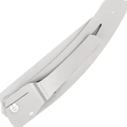 4967.B LE THIERS DOZORME LINER LOCK NATURE BOUSSOLE 10,5CM INOX
