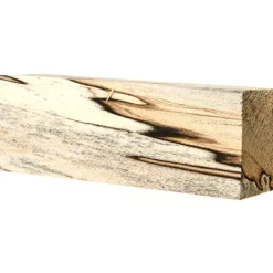 64180 - Bloc de bois Spalted Silver Birch