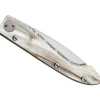 4916.CC DOZORME COMPOSTELLE VOIE DU PUY CORNE 12,5CM INOX