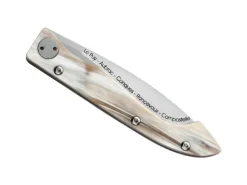 4916.CC DOZORME COMPOSTELLE VOIE DU PUY CORNE 12,5CM INOX