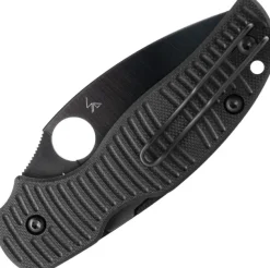 C123GPBKMCBK - Spyderco Sage 5 Salt