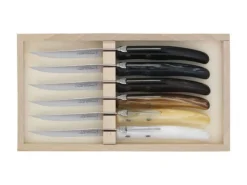 3213 - Claude Dozorme Coffret 6 Laguiole à steak