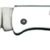 COG840GM COGNET L'ECUREUIL