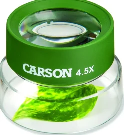 COHU55 - CARSON OPTICS Loupe sur pied pour insectes x4.5