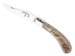 39612 COUTEAU GILLES LE CAPUCHADOU CORNE DE BELIER 12CM GUILLOCHE INOX