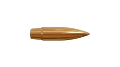 D46 - LAPUA Projectile cal 308 D46 185 grains