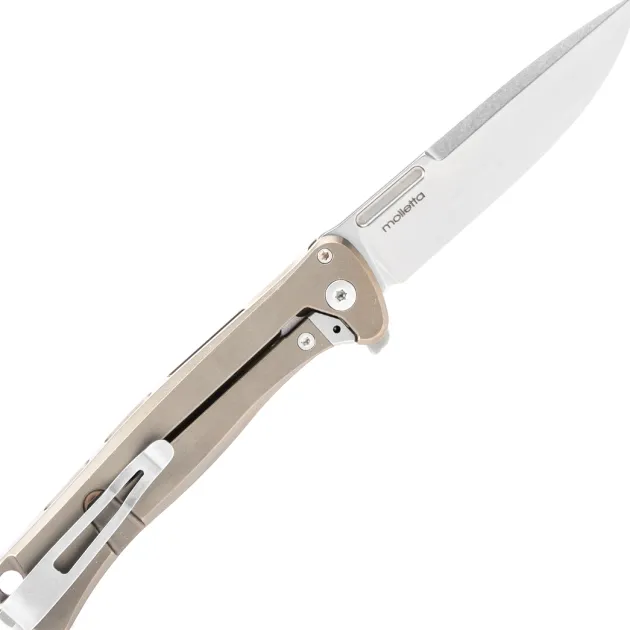EM01 BR - Lion Steel Emmet Titanium Bronze SW