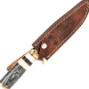 Frost Soaring Eagle II