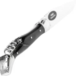 6732.I - Laguiole G. David 2 pièces corne mitres inox 12 cm