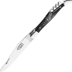 6732.I - Laguiole G. David 2 pièces corne mitres inox 12 cm