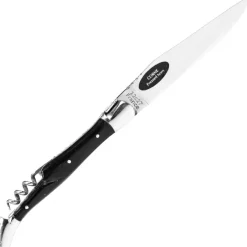 6732.I - Laguiole G. David 2 pièces corne mitres inox 12 cm