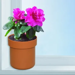 K++370189 - Coffre Dissimulé Pot de Fleur