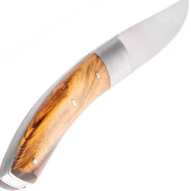 Le Thiers BJB Pistachier 12 cm