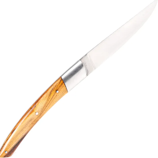 Le Thiers BJB Pistachier 12 cm
