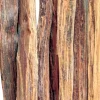 LMF00111 - Light My Fire Tinder Sticks