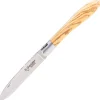 LO112CSI/FSB1- 22 LAGUIOLE EN AUBRAC CROCUS Olivier