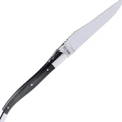 LO212PI/SSI1 - 29 LAGUIOLE EN AUBRAC Laguiole 12 cm Corne pressée