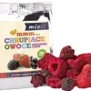 696-015 - MIXIT Mix Fruits des Bois Lyophilisé 20g