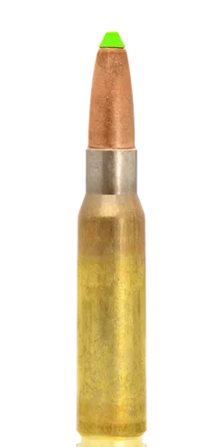 N317105 - Lapua Naturalis .308 WIN 170GR X20
