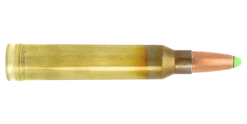 N317204 - Lapua Naturalis .300WM 170GR X10