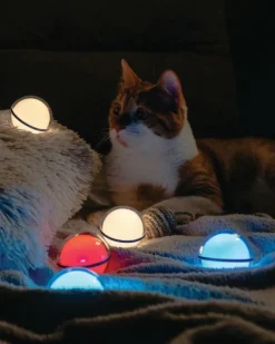 OLTSPHERE - OLIGHT Sphere Boule Lumineuse Transparente