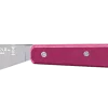 OP0013829 Opinel Tartineur acidulé aubergine N°117