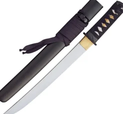 Paul Chen Raptor Tanto.