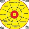 PTT-6PK - Proshot Pistol Training Target - 6PK