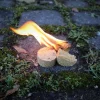 RL381120 - ORIGIN OUTDOORS 6 Allumes-feu 'Flame Slice'