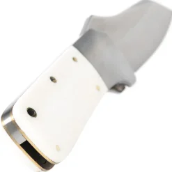 RR2554 - Winter Bone Folder
