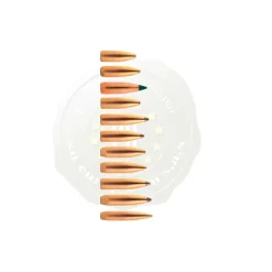 R10610 - Sierra 6mm .243 107Gr HPBT (1570)