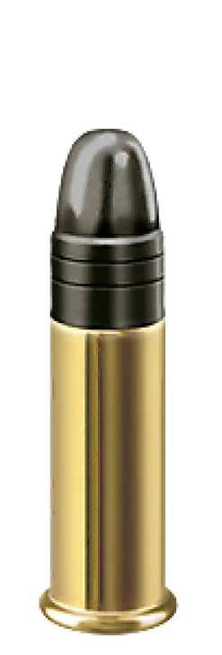 2433398 - RWS .22LR LONG RANGE MATCH X50