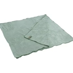 SPC12528 - Fostex Serviette microfibre 120 x 60 cm