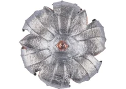 SP23964GD - Munitions Speer® C/45 ACP 185gr GDHP - Boîte de 20