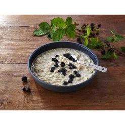 TE30101007 - Trek'n eat Porridge protéiné