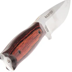 WILDSTEER - KASTOR BOIS MARRON