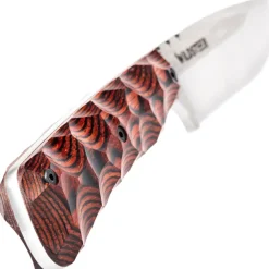 WILDSTEER - Skelet Pakkawood Cocobolo Toxifié/Brossée